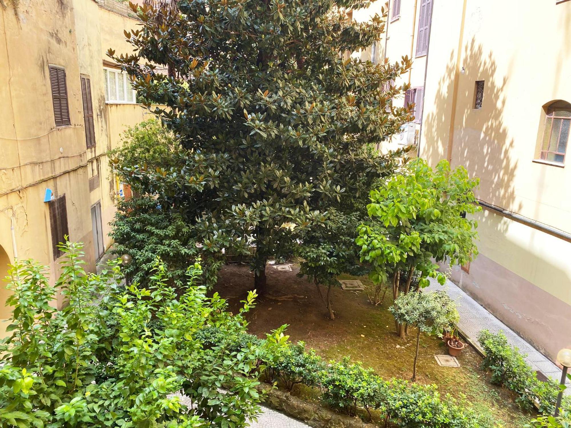 Appartamento A Due Passi Da San Pietro, Vaticano Rome Buitenkant foto